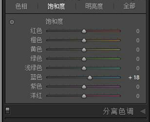 Lightroom为照片添加霓虹灯风格效果教程及实例