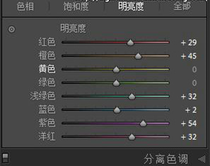 Lightroom为照片添加霓虹灯风格效果教程及实例