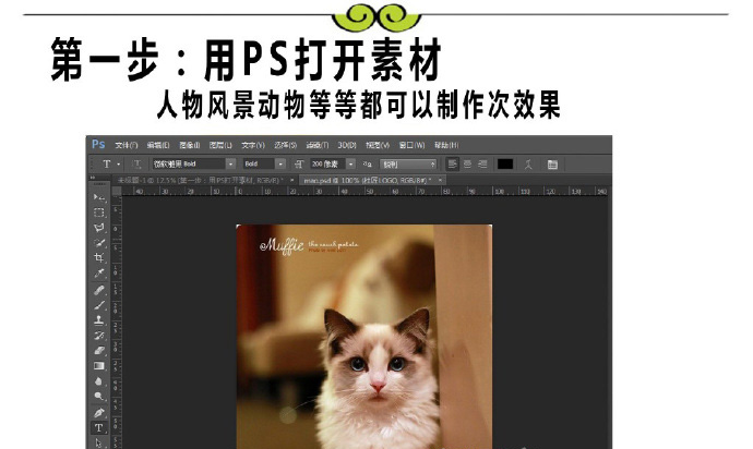 PS打造多边形特效布偶猫海报教程