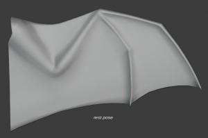 翅膀3D模型