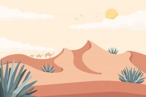 沙漠景观插图