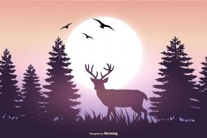 林间夜景剪影插图
