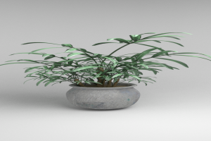 室外盆栽3D模型