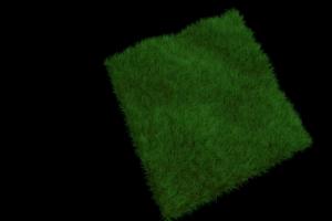 绿草3D模型