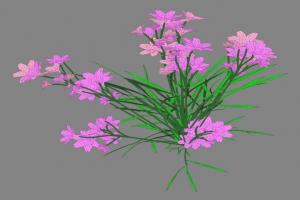 紫色花朵3D模型