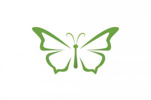 绿色蝴蝶插图