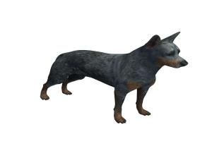 宠物小狗3D模型