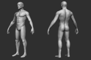 3D男性模型