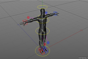 人体3D模型
