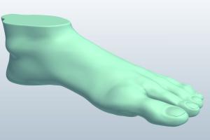 人体足部3D模型