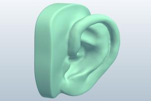 低质感人耳3D模型