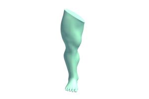 低质量人体腿部3D模型