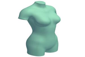 女性上半身躯体3D模型