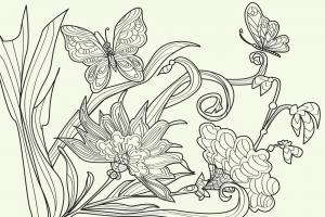 蝴蝶与花插图