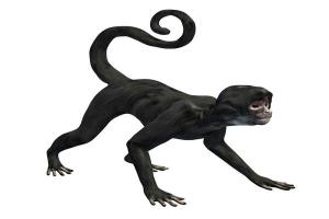 黑色猴子3D模型