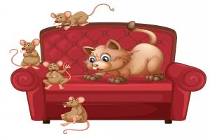 沙发上的猫和老鼠插图