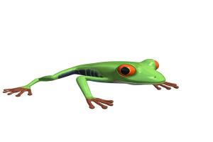 可爱青蛙3D模型