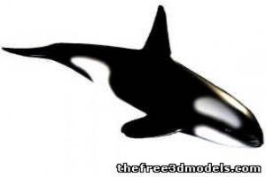 逆戟鲸3D模型