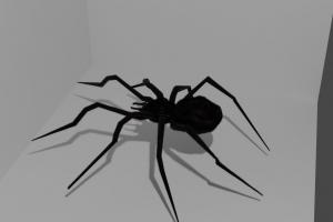 黑色蜘蛛3D模型