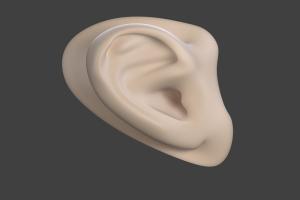 耳朵3d模型