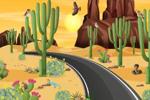 沙漠自然景观插图