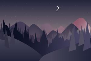 夜晚的森林插图