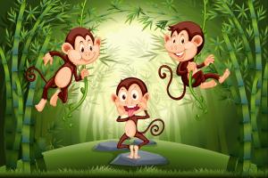 竹林中的猴子卡通插画