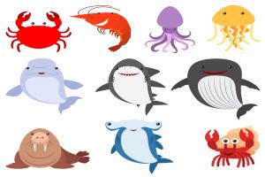 海洋动物插画