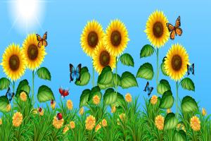 蝴蝶与向日葵插图