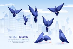 城市景观与鸟剪影插图