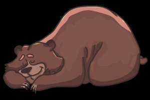 睡觉的棕熊插图