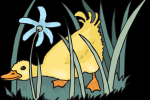 草丛里的鸭子插图