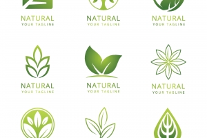 绿色自然标志logo