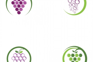葡萄圆形logo设计