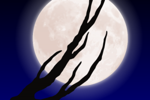 月亮和树枝插图