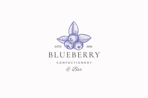 蓝莓水果logo