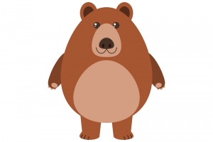 胖胖的棕熊