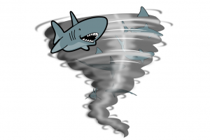 鲨卷风插图