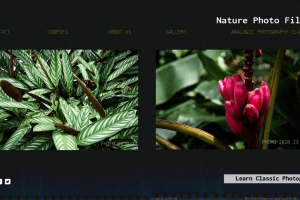 自然植物网页模板