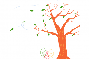 落叶树插图