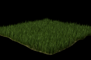 草坪3D模型
