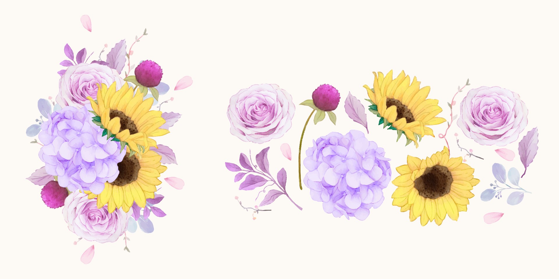 紫色玫瑰绣球花和向日葵插图 紫色玫瑰 绣球花 向日葵 花朵 花苞 花卉 盛开的花朵 水彩插图 北极熊素材库