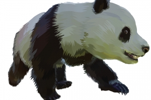大熊猫手绘插画