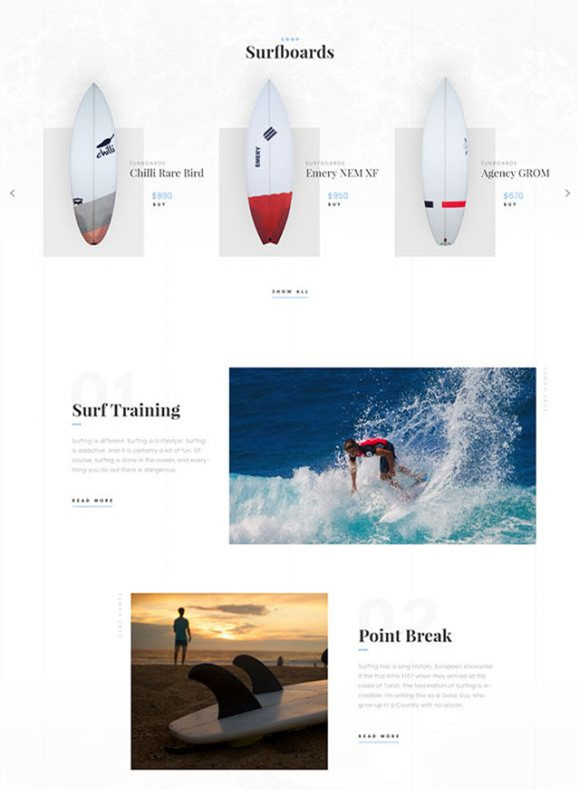 冲浪者的博客（单一产品页）电子商务网站模板1