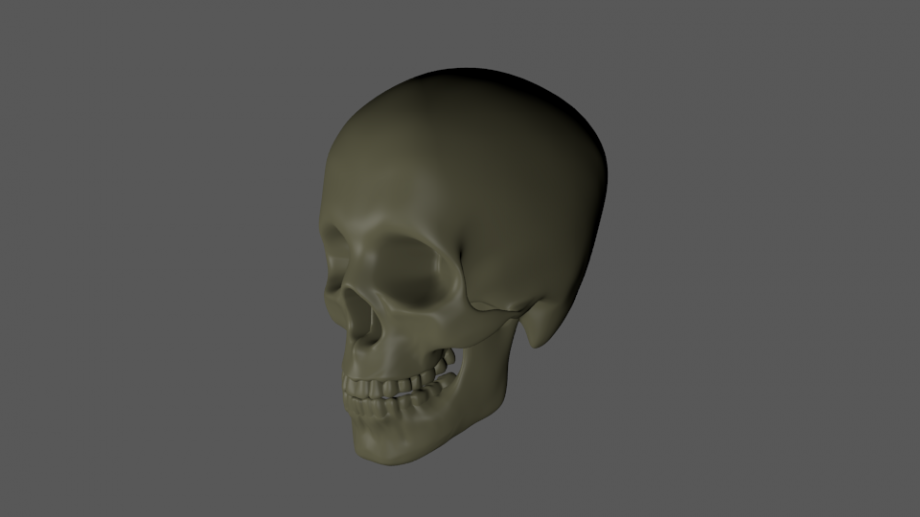 头颅骨3D模型0