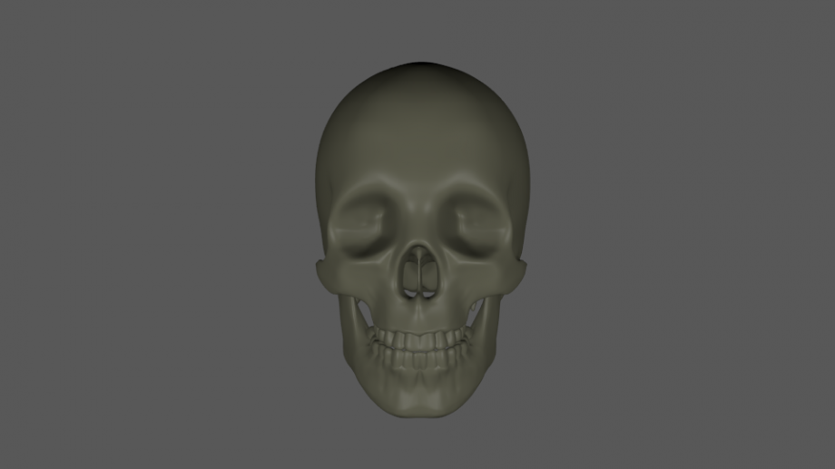 头颅骨3D模型2