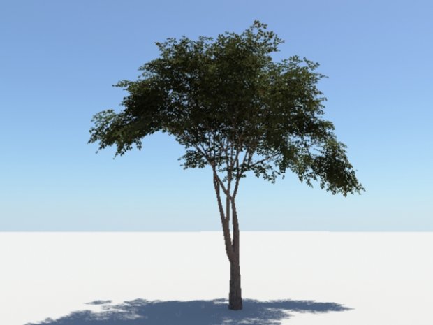 树3D模型0