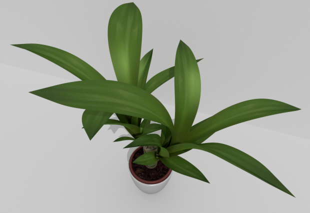 盆栽植物3D模型0