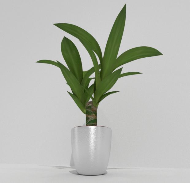 盆栽植物3D模型5
