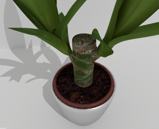 盆栽植物3D模型4